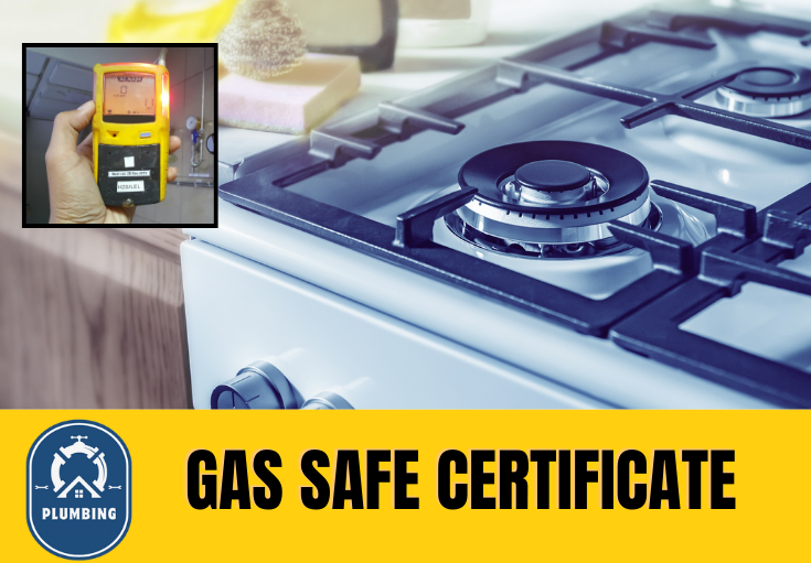 gas safe certificate Wrotham